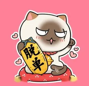 追剧小能手